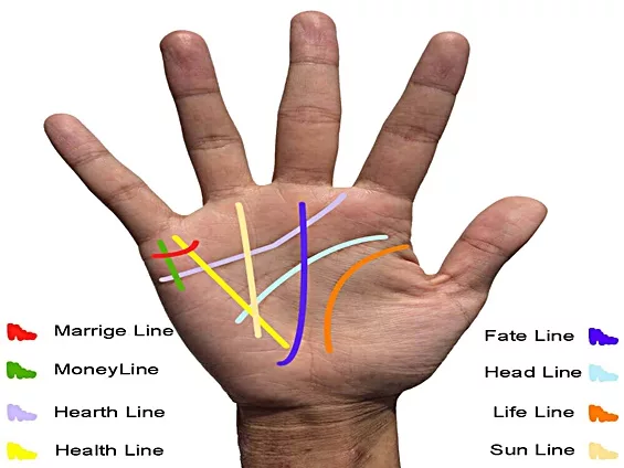 Understanding the Basics: Life Lines, and Shapes on the Palm