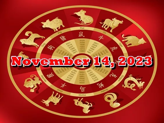 Chinese Horoscope (ENG) November 14, 2023