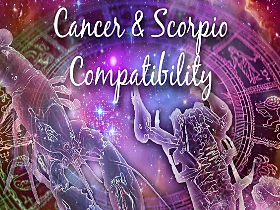 Compatibility Between Scorpio and Cancer - PhilippineOne